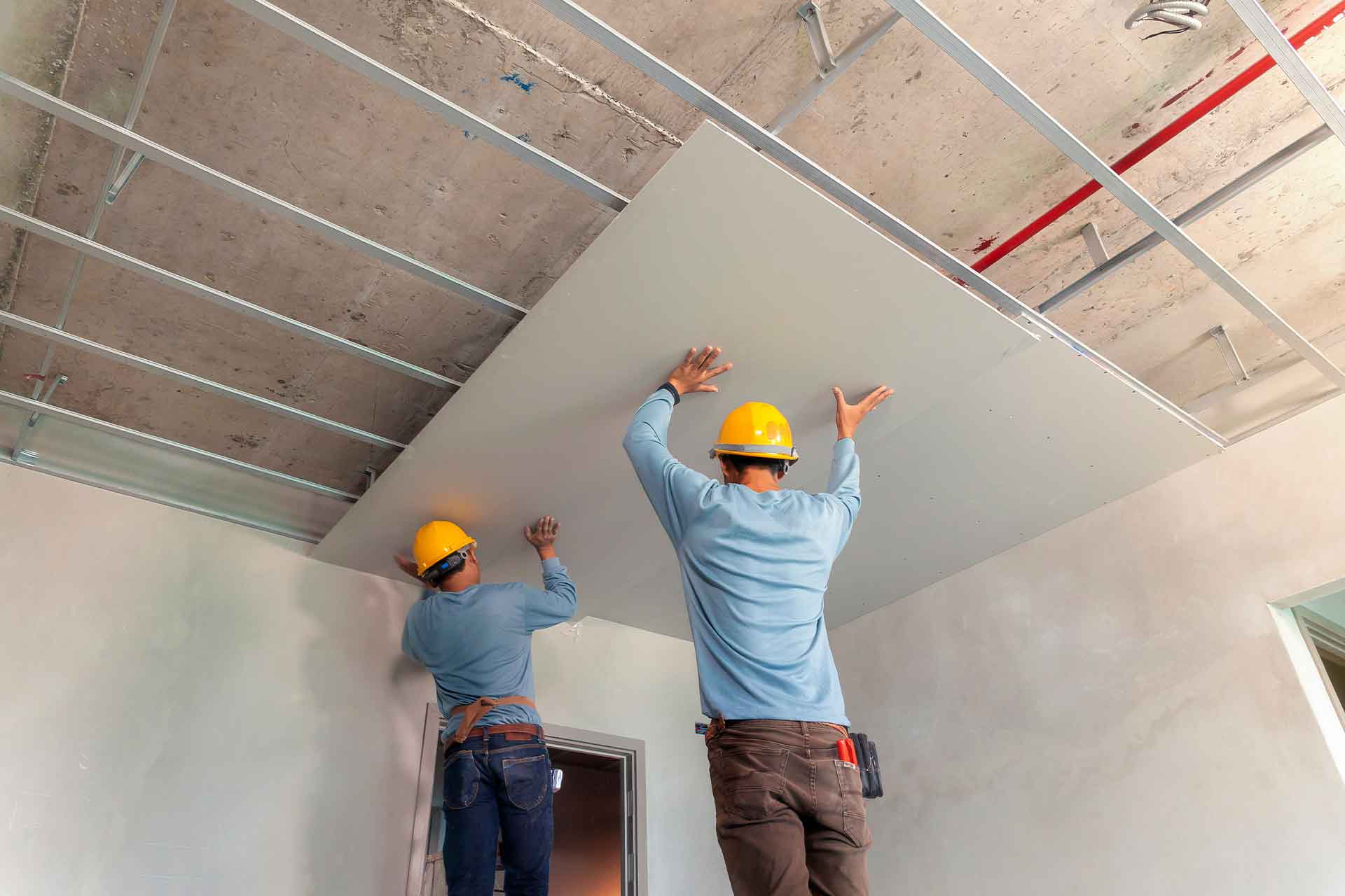 Drywall Screws